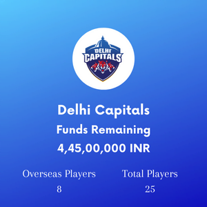 Delhi Capitals Stats IPL 2023